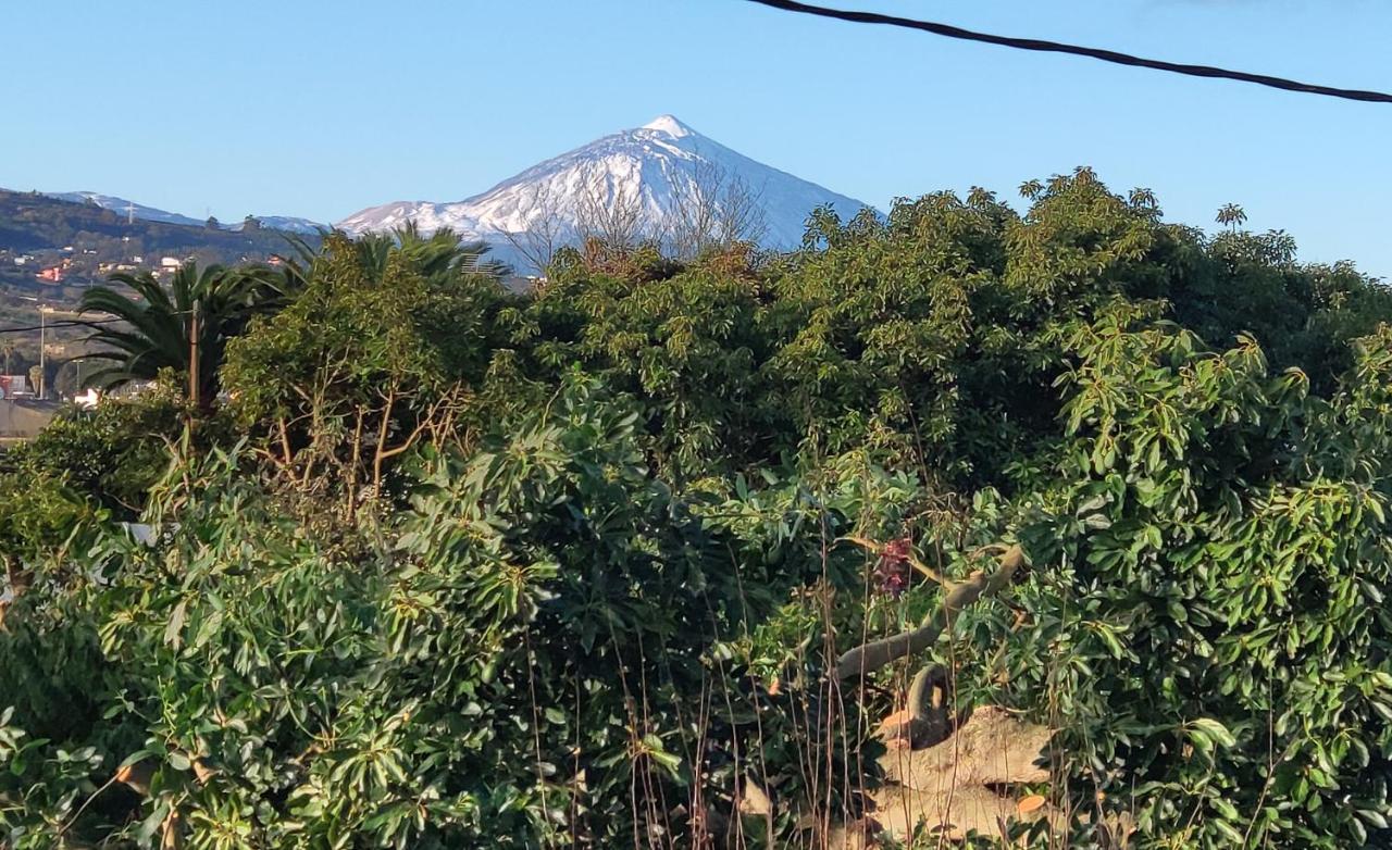 Finca El Trazo 타코론테 외부 사진